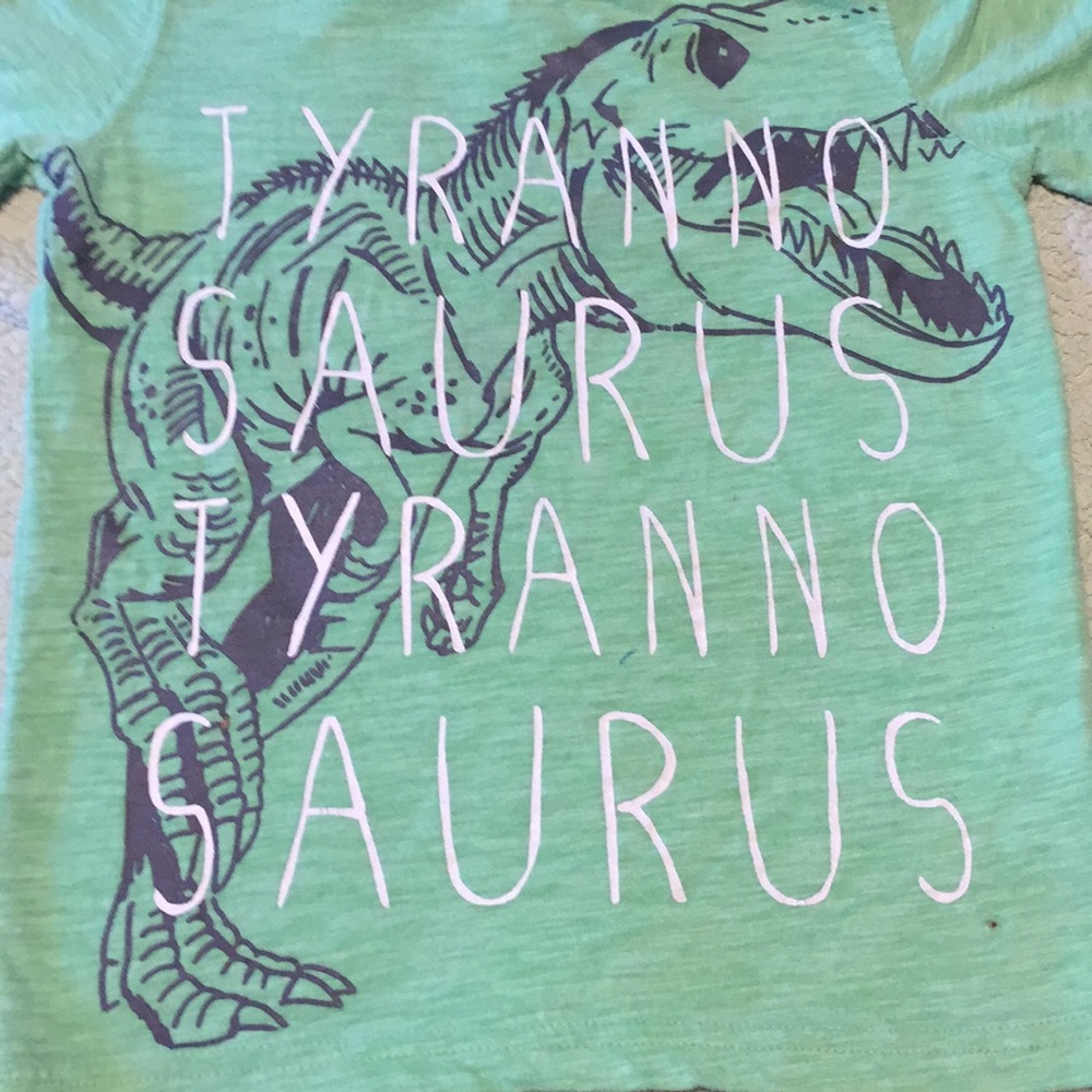Dinosaur Tee Shirt - Picture 2 of 4